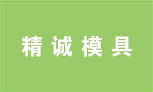 【溫州精誠(chéng)模具有限公司】浙江,溫州,模具,拉桿模具,腳輪模具